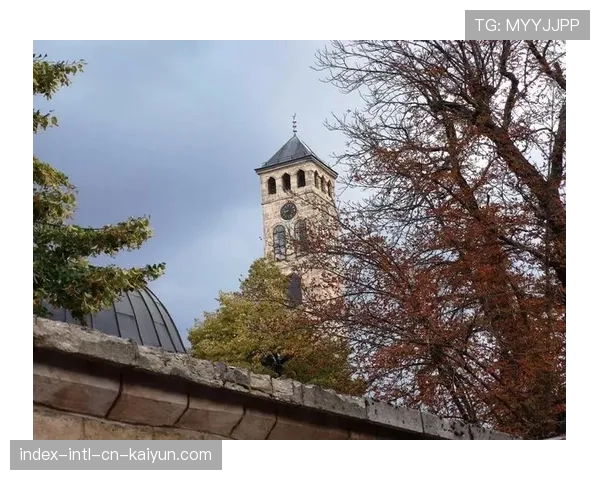 加拿大波黑枫叶逼抢革命 东道主高位防守遭遇巴尔干技术流 加拿大波黑枫叶逼抢革命 东道主高位防守遭遇巴尔干技术流